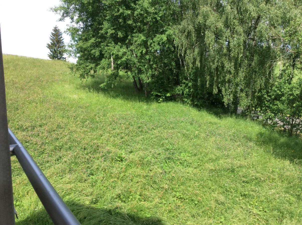 Apartman Odolov Jestrebi Hory Male Svatonovice Luaran gambar